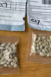 MDARD Issues Advisory Regarding Unsolicited Packages of Seeds from China July 27, 2020