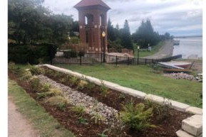 Four Rain Gardens Installed in Marquette October 26, 2020
