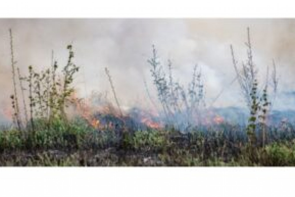 Prescribed burns planned in Schoolcraft County May 17, 2021