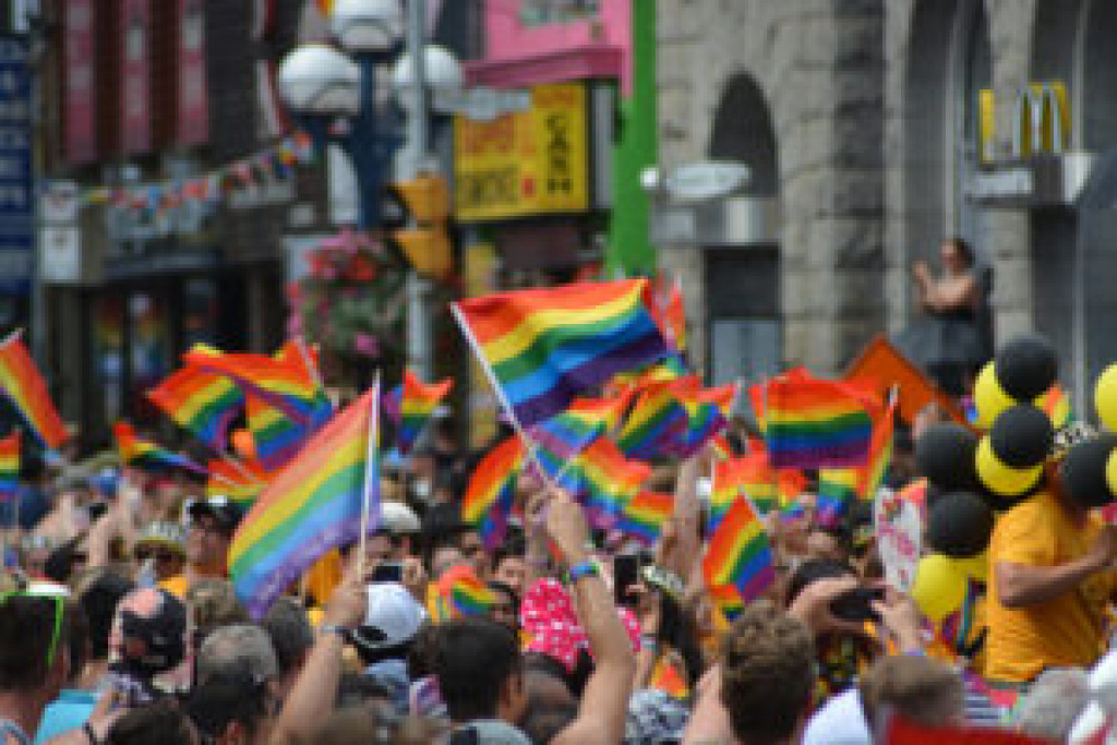 June is Pride Month! Celebrate with your friends and family in this LGBT+ promenade