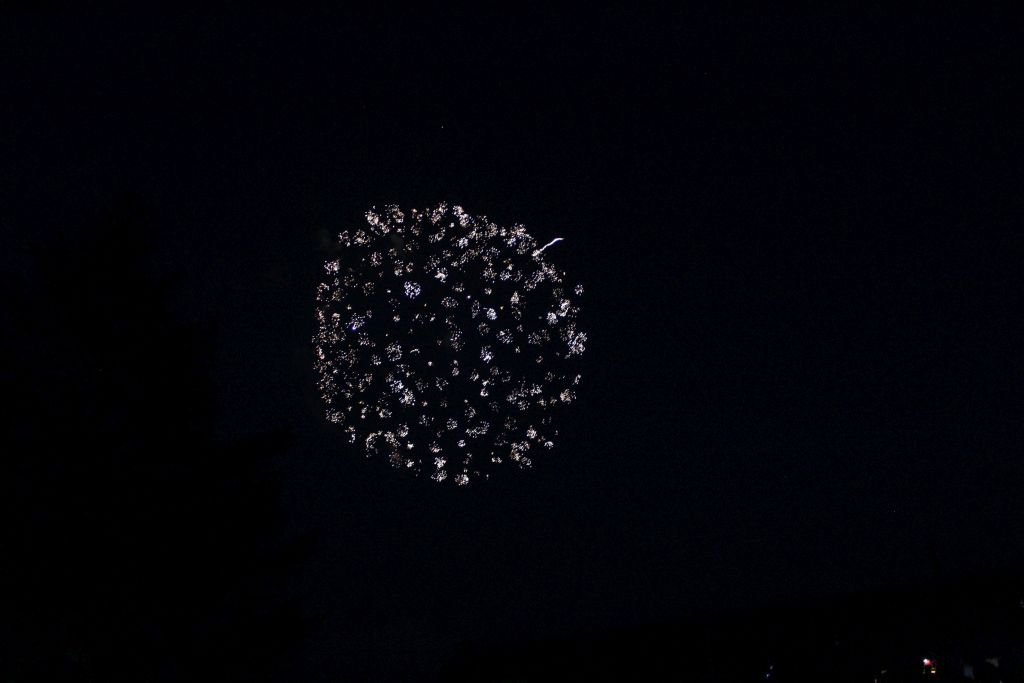 There Was A Great Variety Of Firework This Year.