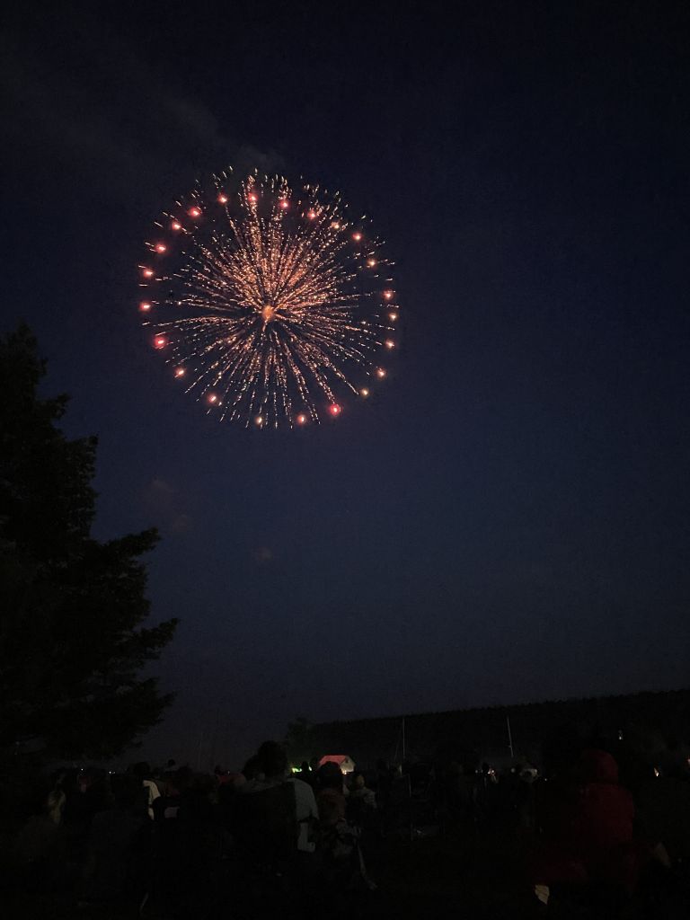 These Fireworks Were Definitely Unique!