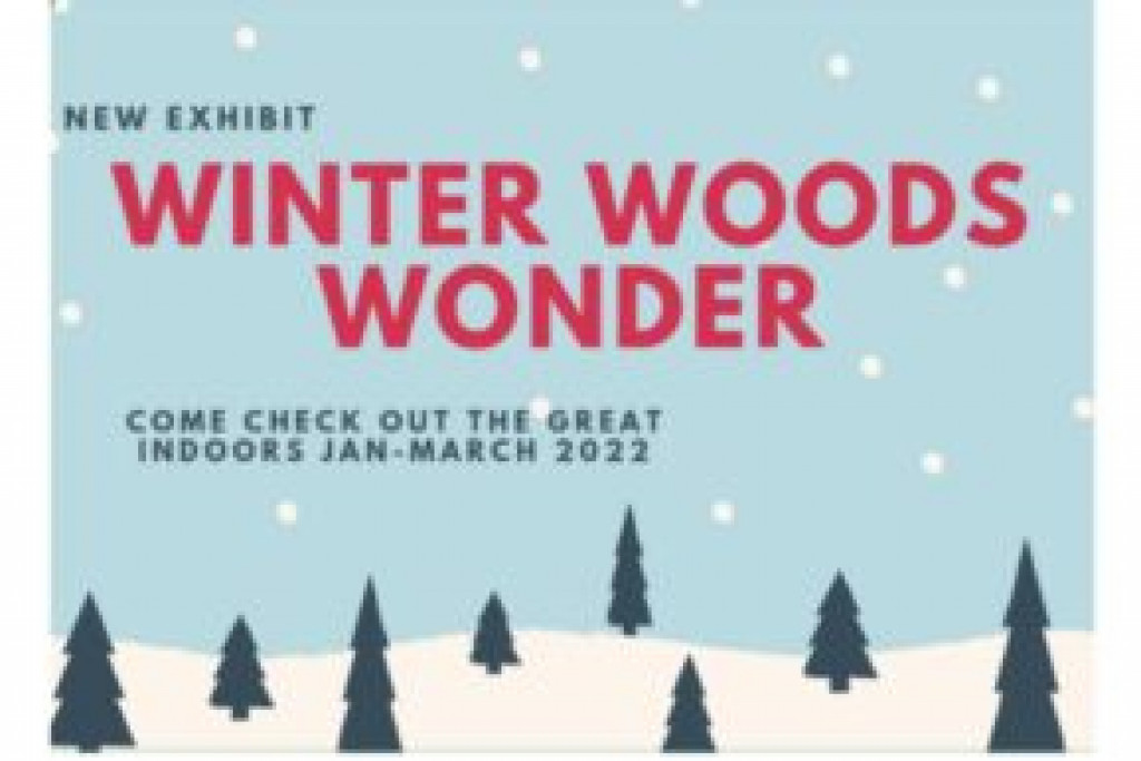 UPCM presents Winter Woods Wonder January-March 2022